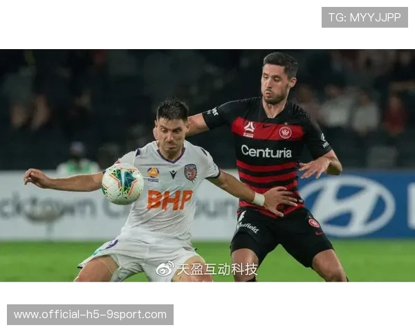 全球体育赛事粉丝互动趋势